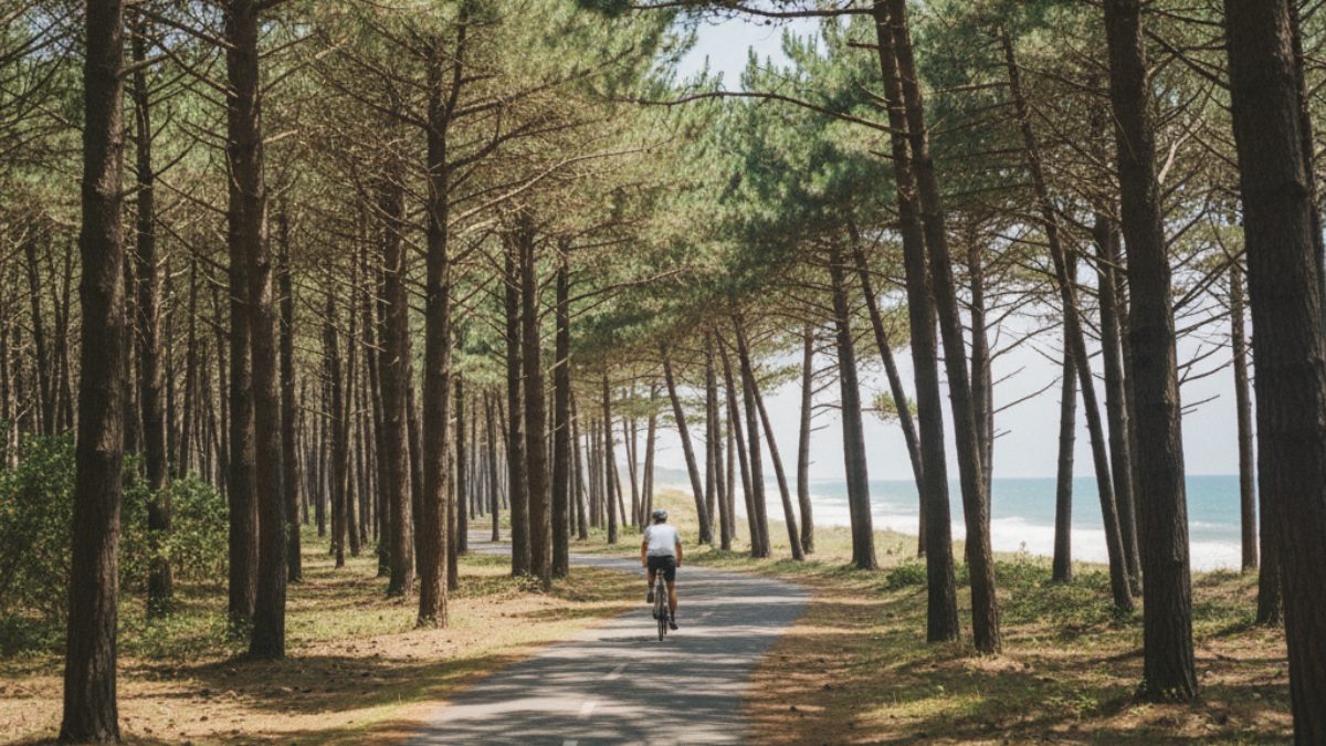 bordeaux-vineyards-arcachon-ocean-cycling-tour